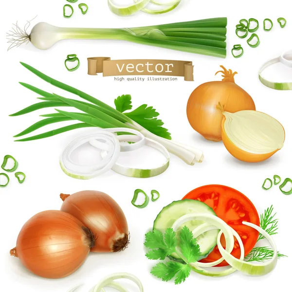 Conjunto de iconos de cebolla — Vector de stock