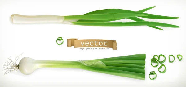 Cebolla verde en rodajas — Vector de stock