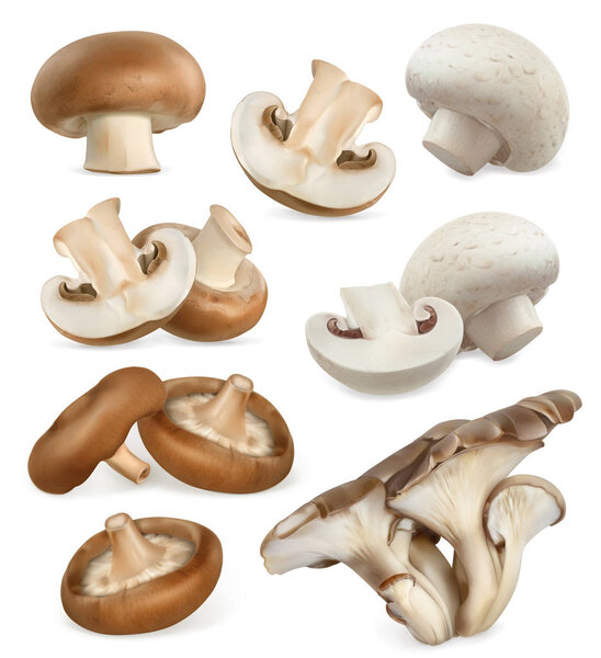 Набор икон съедобных грибов
