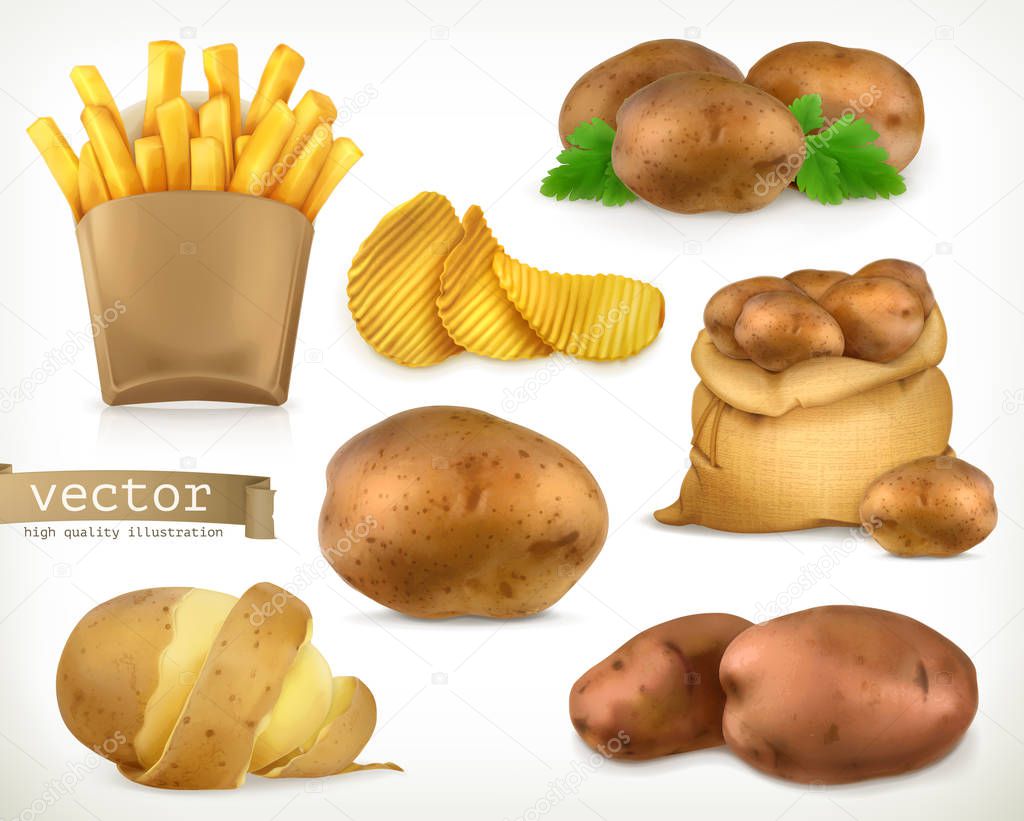 Potato and fry chips