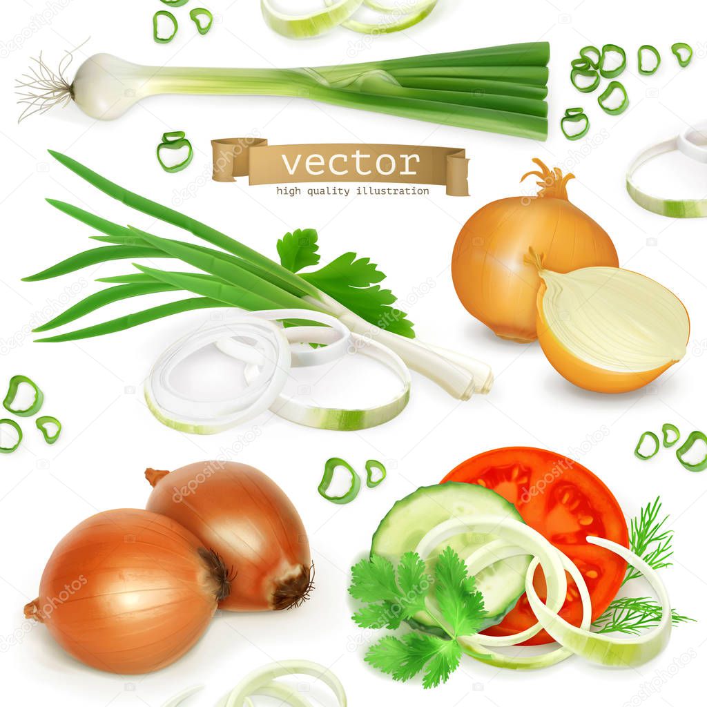 Onion icons set
