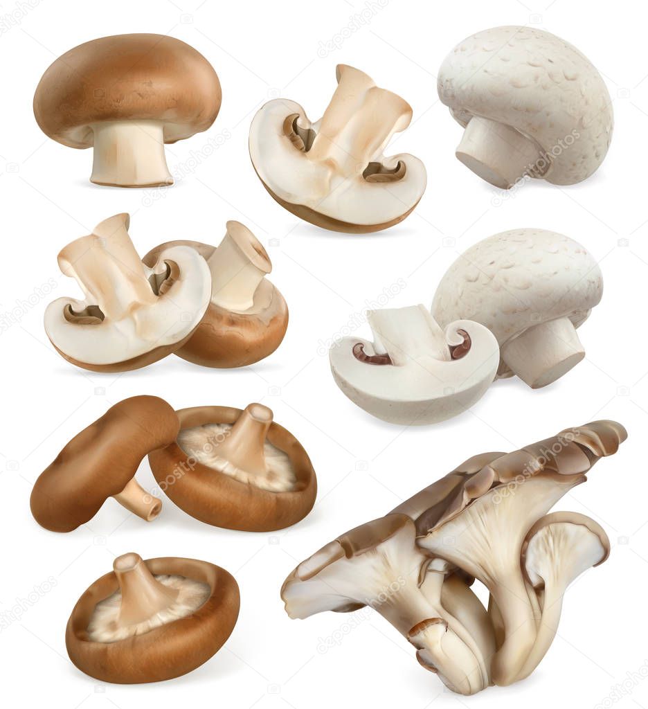 Edible mushrooms icons set