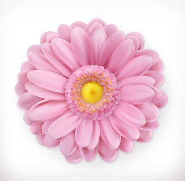 Bahar Pembe çiçek