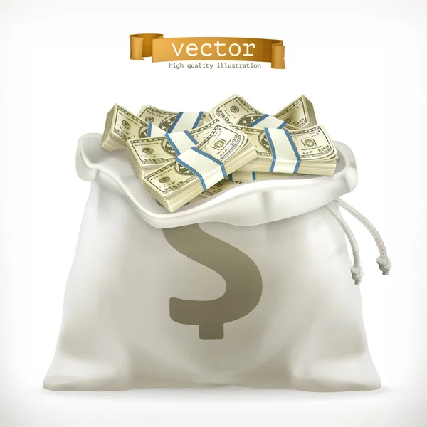 Moneybag. Moneta di carta — Vettoriale Stock