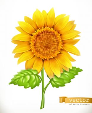 Sunflower. 3d vector icon clipart