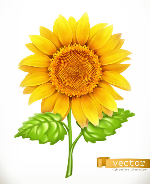 Sunflower. 3d vector icon
