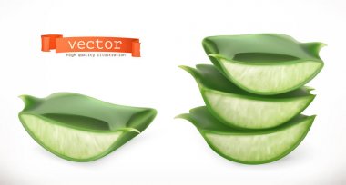 aloe vera bitkisi