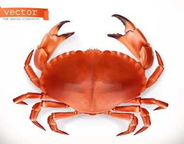 Realistic red crab clipart