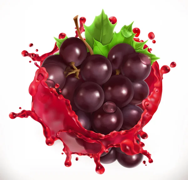 Uvas frescas en chorros de jugo — Vector de stock