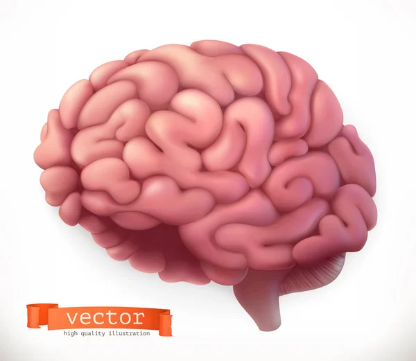 Brain. 3d vector icon — Stock Vector