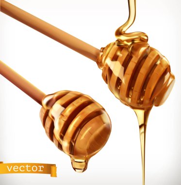 Bal ayı. 3D gerçekçi vektör Icon set