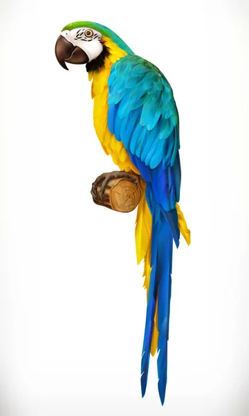 Papuga ara. Macaw. Realistyczna ikona wektora 3D — Wektor stockowy