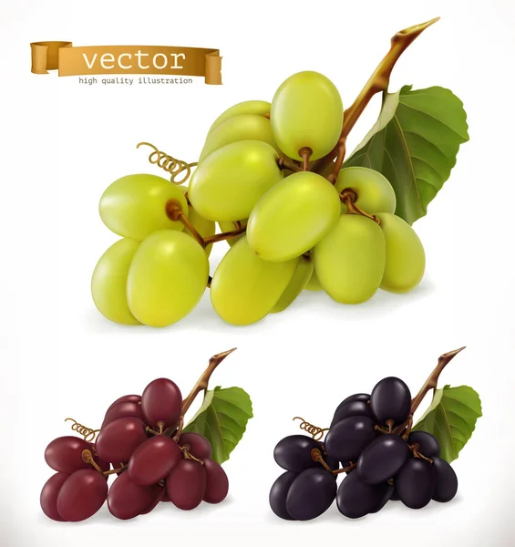 Uvas de mesa rojas y blancas, uvas de vino. Fruta fresca, conjunto de iconos de vector 3d — Vector de stock
