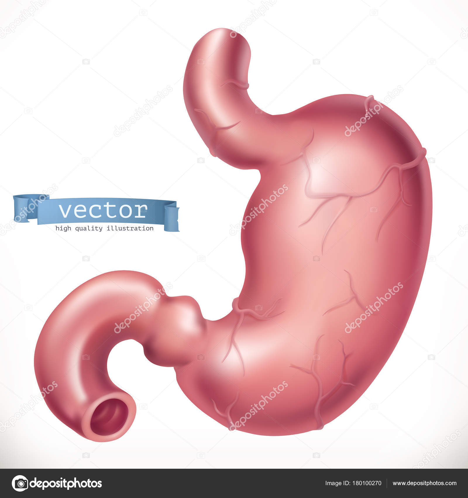 肚子痛医学、内脏器官3D向量icon.eps 图库矢量图©natis76 180100270
