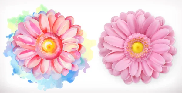 春粉色花朵，菊花，水彩画与3D写实主义 — 图库矢量图片
