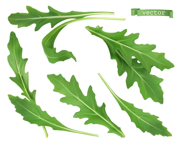 Arugula Warzywo Sałatkowe Rakiet Ogrodowych Realistyczna Ilustracja Żywności Przedmioty Wektorowe — Wektor stockowy