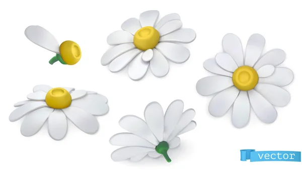 カモミールの花 デイジー 3Dベクトルアイコンセット — ストックベクタ