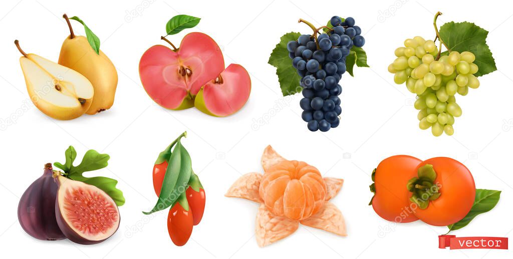 Autumn fruits and berries. Pear, pink apple, white sweet grape and wine grape, fig, goji berry, persimmon fruit. 3d realistic vector set