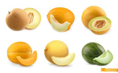 Melons, sweet fruits. 3d realistic vector icon set clipart