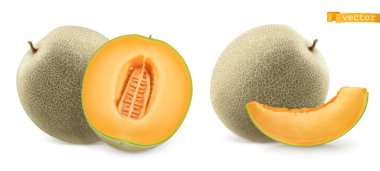 Sweet melon, cantaloupe. 3d realistic vector icon clipart