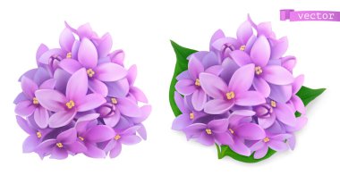 Syringa flowers, lilac. 3d realistic vector icon clipart