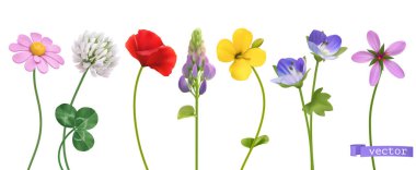 Wildflowers. 3d realistic vector icon set clipart
