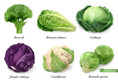 Lahana ve marul, sebze yaprağı gerçekçi yiyecek objeleri. Brokoli, romaine marulu, yeşil ve mor lahana, karnabahar, Brüksel lahanası. 3d vektör simgesi ayarlandı