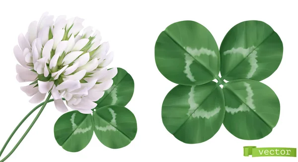 Dört Yapraklı Yonca Yonca Çiçeği Gerçekçi Vektör Simgeleri — Stok Vektör