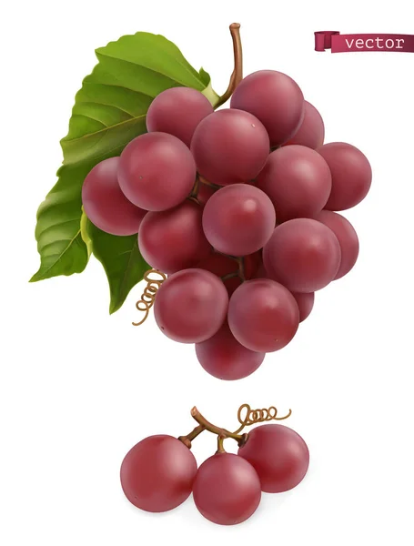 Uvas Fruta Fresca Vector Realista — Vector de stock