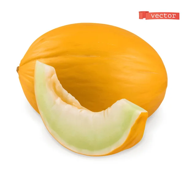 Melon Świeże Owoce Realistyczny Wektor — Wektor stockowy