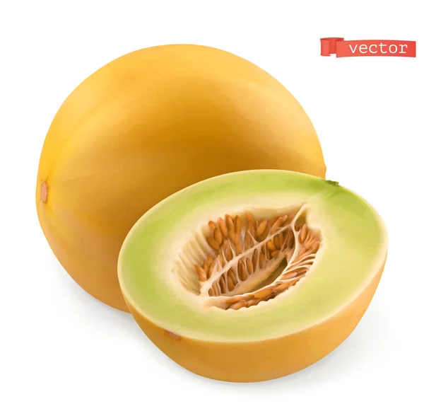 Melon Fresh Fruits Realistic Vector — Stock Vector