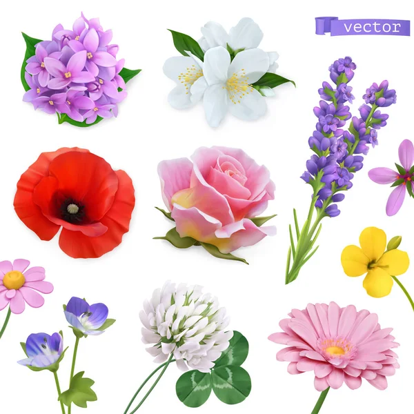 Spring Flowers Lilac Jasmine Poppy Rose Lavender Clover Chamomile Realistic — Stock Vector