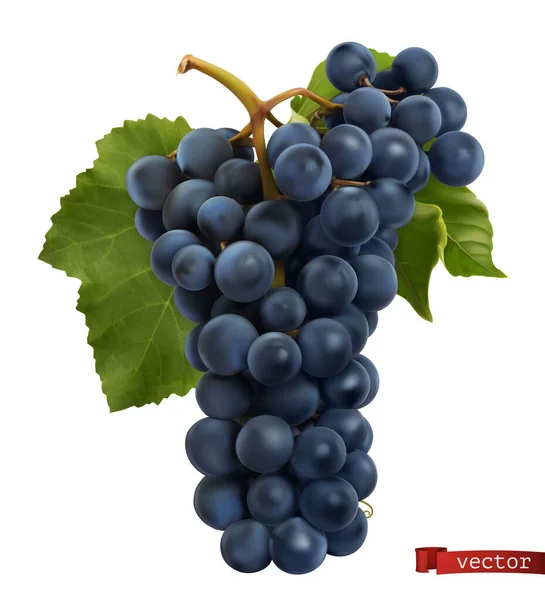 Uvas Vino Fruta Fresca Vector Realista — Vector de stock