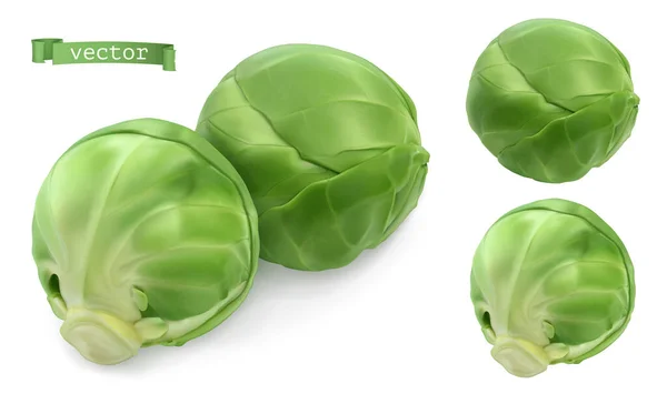 布鲁塞尔芽 卷心菜 叶菜3D真实感矢量对象 食品说明 — 图库矢量图片