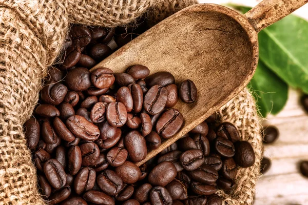 焙煎コーヒー豆 — ストック写真