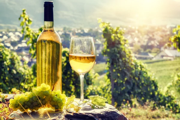 Bottiglia e bicchiere di vino bianco — Foto Stock