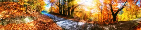 Panoramic autumn landscape with country road — Stock Photo, Image