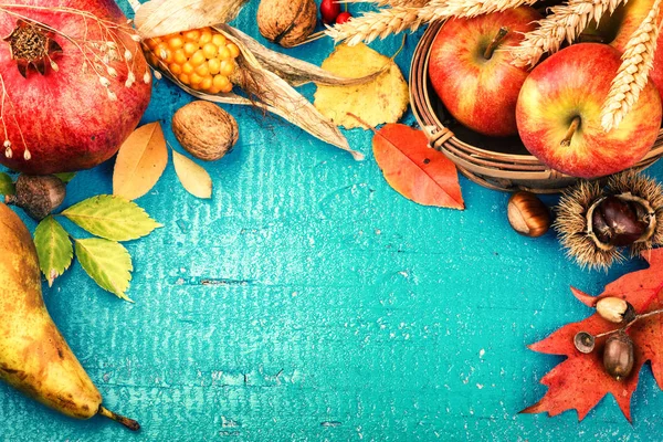 Quadro de outono com romã, maçã e folhas de outono — Fotografia de Stock