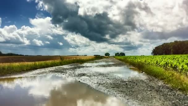 Landweg met grote plassen op regenachtige zomerdag — Stockvideo