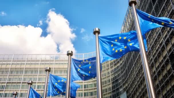 Europese Unie vlaggen zwaaien in de wind — Stockvideo
