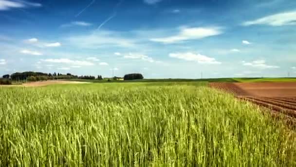 Panorámás kilátás nyílik a mezőgazdasági területek — Stock videók