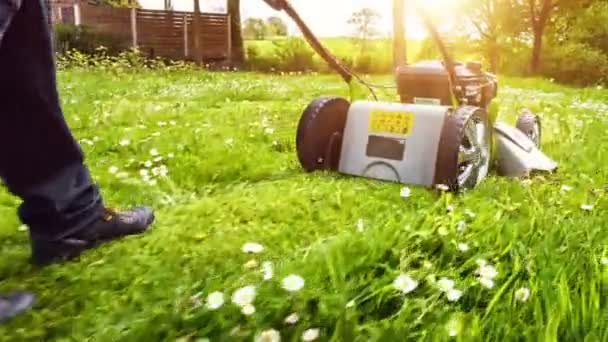 Кошение травы газонокосилкой на бензине — стоковое видео