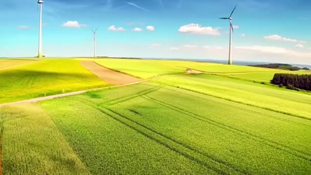 Zona agrícola con campo de trigo y turbinas eólicas — Vídeo de stock