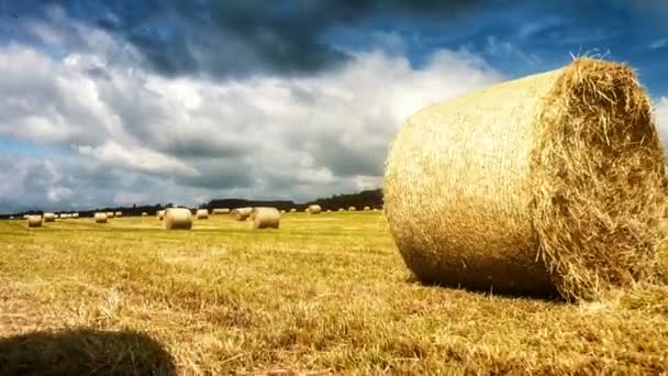 Landskap med gyllene höbalar på fältet — Stockvideo