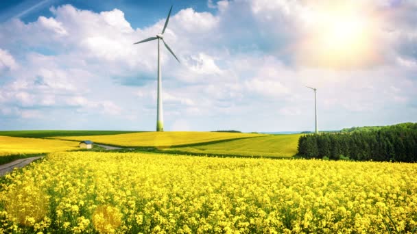 Paisagem rural com turbinas eólicas — Vídeo de Stock