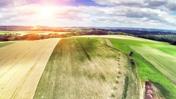 Zomer landschap met landbouwgronden — Stockvideo