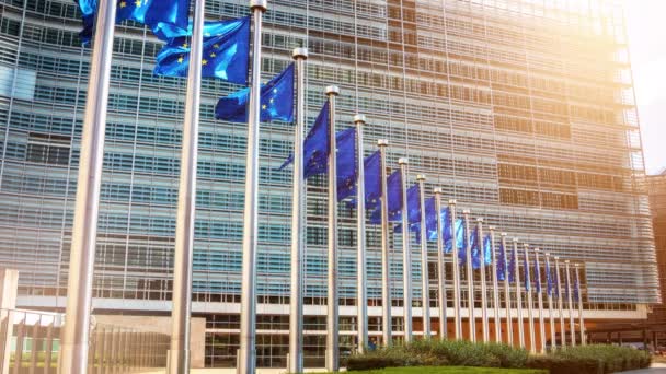 Europeiska unionen flaggor vajande i vinden — Stockvideo