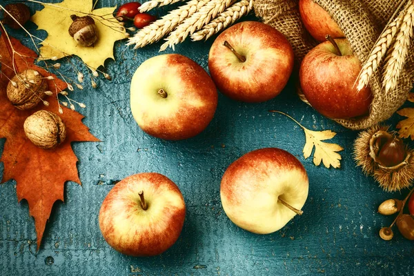 Herbststilleben mit frischen Äpfeln — Stockfoto