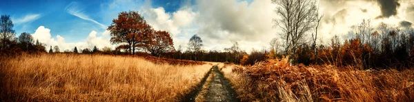 Panoramatické podzimní krajina — Stock fotografie