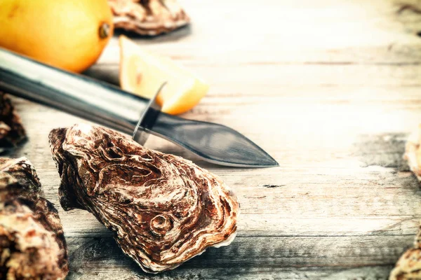 Fresh oysters with fresh lemons — Stock Photo, Image